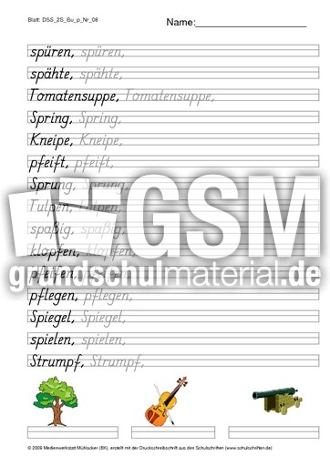 DSS_2S_Bu_p_Nr_08.pdf